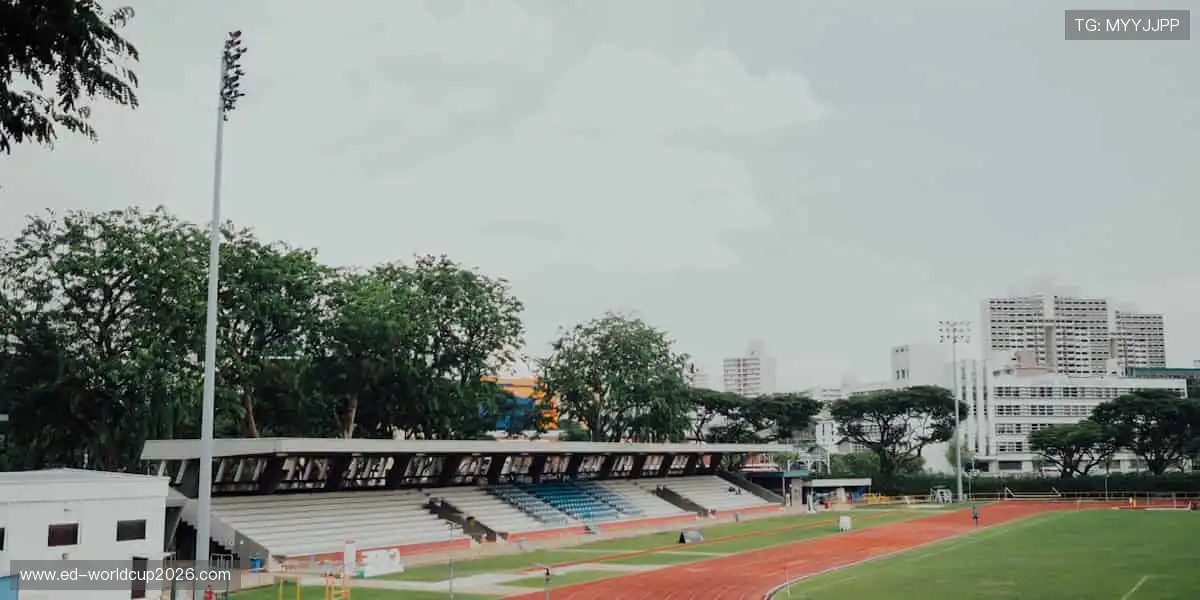 指尖掌控全球赛事，零时差感受热血沸腾！📱⚽